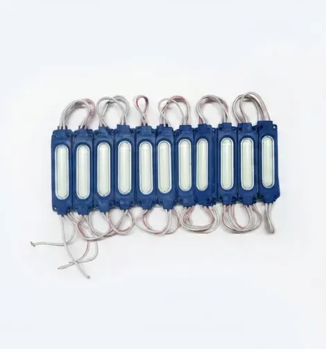 Capsule Shape LED Module 12 volt